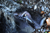 dsc_0016.jpg