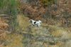dsc_0003.jpg