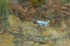 dsc_0004.jpg