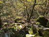 dsc_0001.jpg