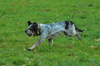 dsc_0004.jpg