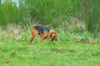 dsc_0005.jpg