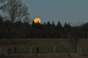 dsc_0016.jpg