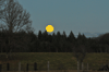 dsc_0017.jpg