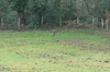 dsc_0008.jpg