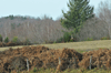 dsc_0011.jpg