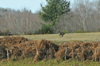 dsc_0012.jpg