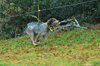 dsc_0001.jpg