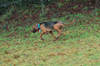 dsc_0004.jpg