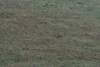 dsc_0011.jpg