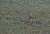 dsc_0012.jpg