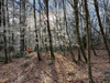 dsc_0002.jpg
