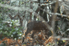 dsc_0003.jpg