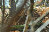 dsc_0005.jpg