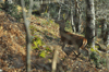 dsc_0006.jpg