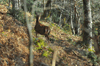 dsc_0008.jpg