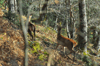 dsc_0009.jpg