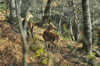 dsc_0011.jpg