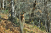 dsc_0012.jpg
