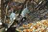 dsc_0015.jpg