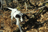 dsc_0019.jpg