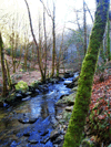 dsc_0021.jpg