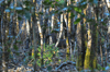dsc_0010.jpg