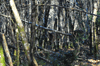 dsc_0011.jpg