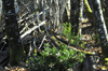 dsc_0012.jpg