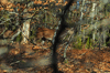 dsc_0014.jpg