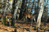 dsc_0015.jpg