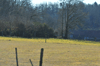 dsc_0001.jpg