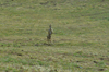 dsc_0007.jpg