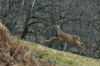 dsc_0013.jpg