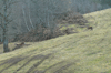 dsc_0014.jpg
