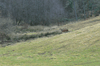 dsc_0016.jpg