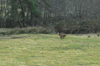 dsc_0019.jpg
