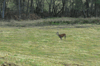 dsc_0021.jpg