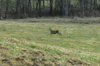 dsc_0022.jpg