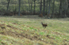 dsc_0023.jpg