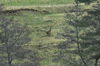 dsc_0024.jpg