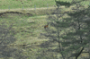 dsc_0025.jpg