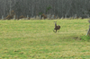 dsc_0028.jpg