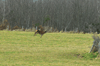dsc_0033.jpg