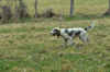 dsc_0034.jpg