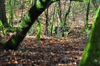 dsc_0002.jpg