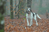 dsc_0010.jpg
