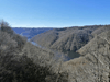 dsc_0006.jpg