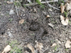 dsc_0008.jpg
