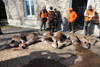 dsc_0025.jpg